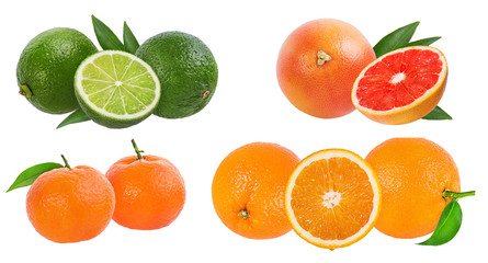 Citrus Fruit Set (tangerine, grapefruit, lime, orange) isolated on white background.