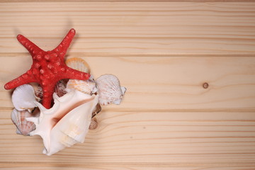 Seashells and starfish on a wooden background - 197242306