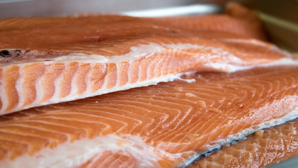 filet de saumon entier