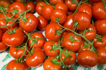 tomates grappes
