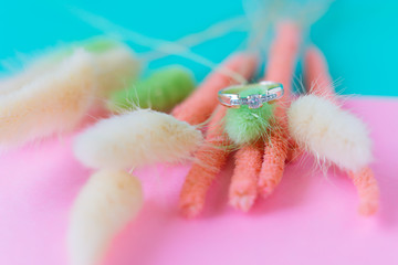 Colorful dried flowers and engagement ring on pink and blue background