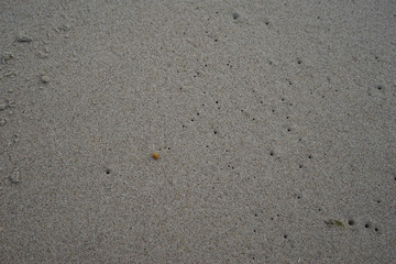 Sandy natural background of gray sand interspersed with amber.