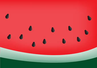 Close up Watermelon background tropical fruit in summer. Vector illustration EPS10.