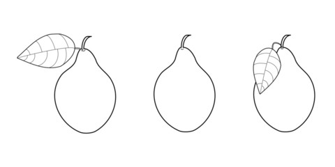 Pear illustration