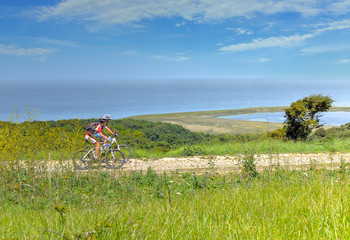 vtt au printemps