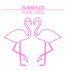Flamingos vector