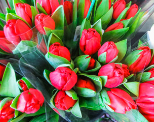 Assortment of bouquets of colorful tulips in a flower shop