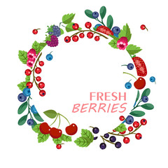 Fresh fruits and berries. Vector fruit banner. Sweet forest and 