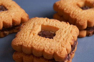Chocolate cookies on gray plate on red table, closeup. Macro. Wich copyspace