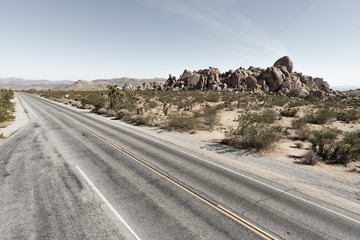 Open Road with Textured Asphalt in Joshua Tree National Park