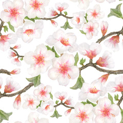 Watercolor Spring Almond Garden