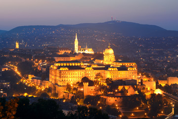 Fototapeta na wymiar Highlighted Royal Palace in Budapest at night