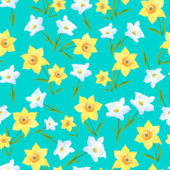 Fototapeta na wymiar Daffodils on a Green Background