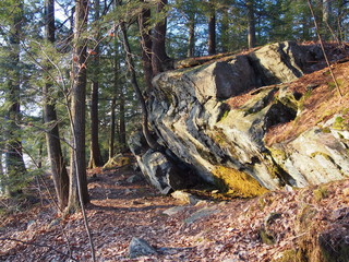 Berkshires