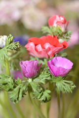 bouquet de fleuriste