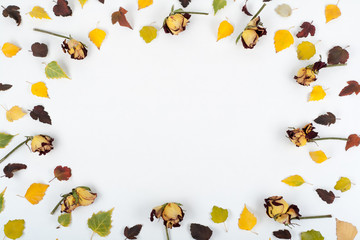 Colorful autumn leaves. Copy space for text. Top view.