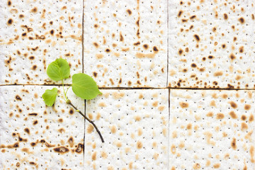 An overhead photo of matzah or matza pieces and a small spring fresh linden tree branch. Matzah on the wooden table for the Jewish Passover holidays. Place for text, copy space. Selective soft focus. - 197252166