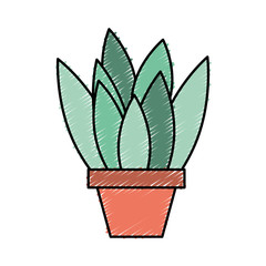 potted plant leaves interior decoration vector illustration drawing color design