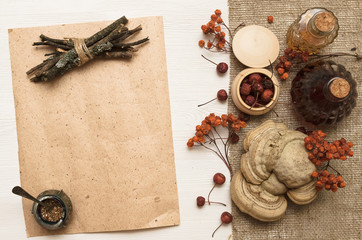 Herbal medicine. Alternative medicine concept. Dry organic natural ingridients. Curative mushroom and tincture in bottle on wooden background with copy space.