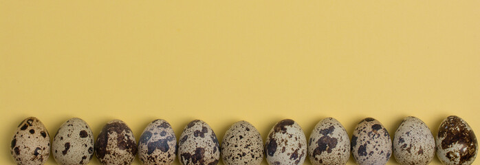 Quail eggs on yellow pastel backdrop. Flat lay. Easter minimal concept. Top view. Design, visual art for banner.