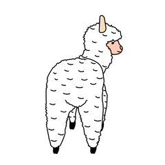 Funny llama illustration on white background. Back view.