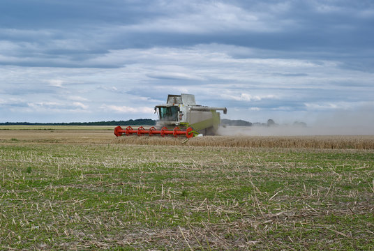 Agriculture: Harvester mowing a cornfield on a late afternoon in August