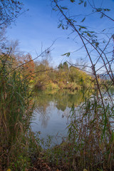 Obraz premium Paysage d'automne