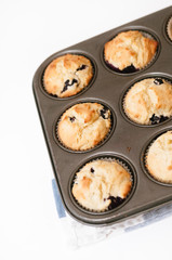 Muffin pan or tin with freshly baked, gluten free blueberry cupcakes for mother's day, a birthday party or tea time on white background