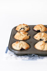 Muffin pan or tin with freshly baked blueberry cupcakes for mother's day, a birthday party or tea time on white background