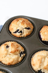 Muffin pan or tin with freshly baked blueberry cupcakes for mother's day, a birthday party or tea time on white background