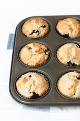 Muffin pan or tin with freshly baked, gluten free blueberry cupcakes for mother's day, a birthday party or tea time on white background