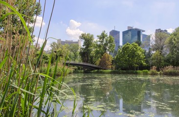 Fototapeta premium See im Donaupark mit Blick auf Häuser in Donaucity