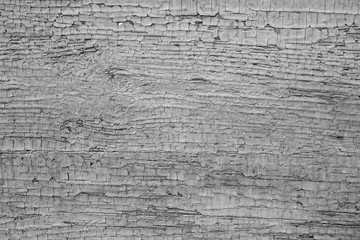 Cracked wooden texture black and white photo