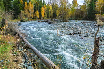  beautiful  mountain landscape of Altai mountain Republic, late autumn, Russia.