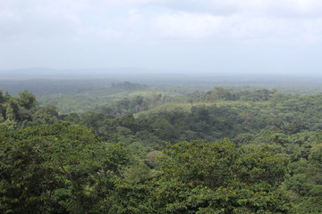 Fototapeta na wymiar Village de Cacao - Guyane Française