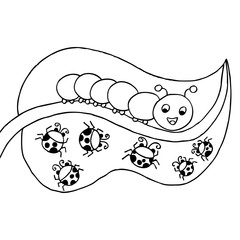 Caterpillar and ladybird. Doodle vector illustration.