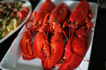 Boiled Atlantic Canadian lobsters