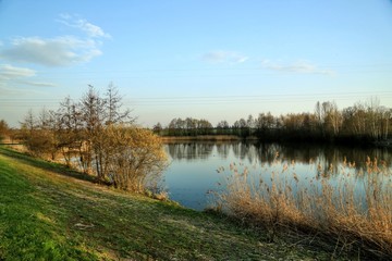 Colorful landscape with little lake, blue sky, clouds, green grass, reeeds on the bank, reflection of trees in water, electric lines