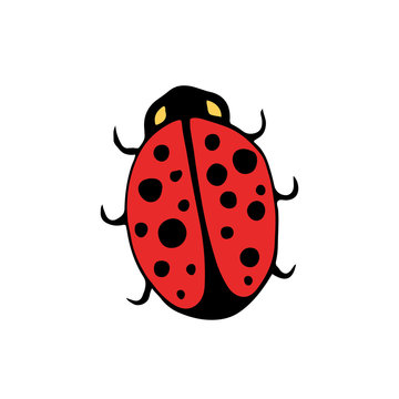 Vector doodle badge. Ladybird isolated icon. Cartoon kids print