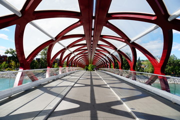 The Bridge