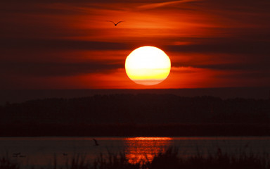sunset