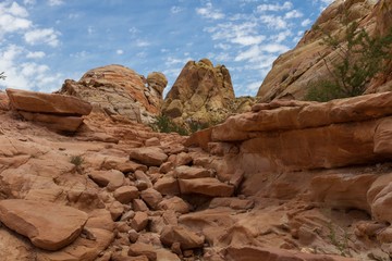 Valley of Fire 63