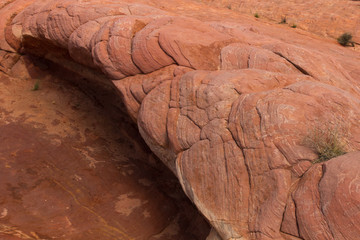 Valley of Fire 76