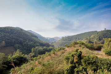 Fototapeta na wymiar Mountains view,Mountains in the North of Thailand,Nan Province