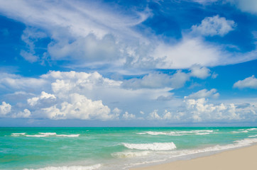 Miami tropical beach and ocean