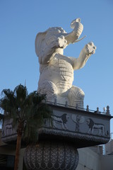 Obraz premium VENICE BEACH LOS ANGELES SANTA MONICA