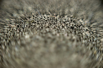 abstract black blurred bokeh , closeup, macro sponge