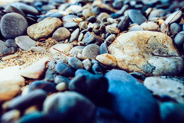 Grunge, natural beach coastline textured background. Texture image with the natural light environment.
