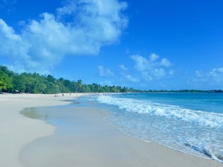 Beautiful idyllic beach day with tourists taking a stroll in the sand, the ocean with waves, trees and a blue sky with white clouds on the Caribbean island of Martinique