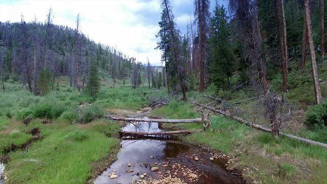Aerial drone over creek in mountain meadow